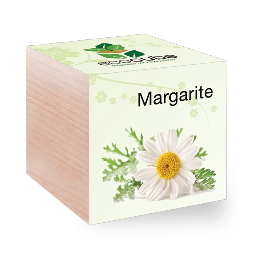 EcoCube - Plantes en cubes de bois - Marguerite