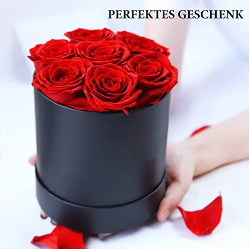 6 Eternal Rose Saint-Valentin La pâquerette a dit tu m'aimes