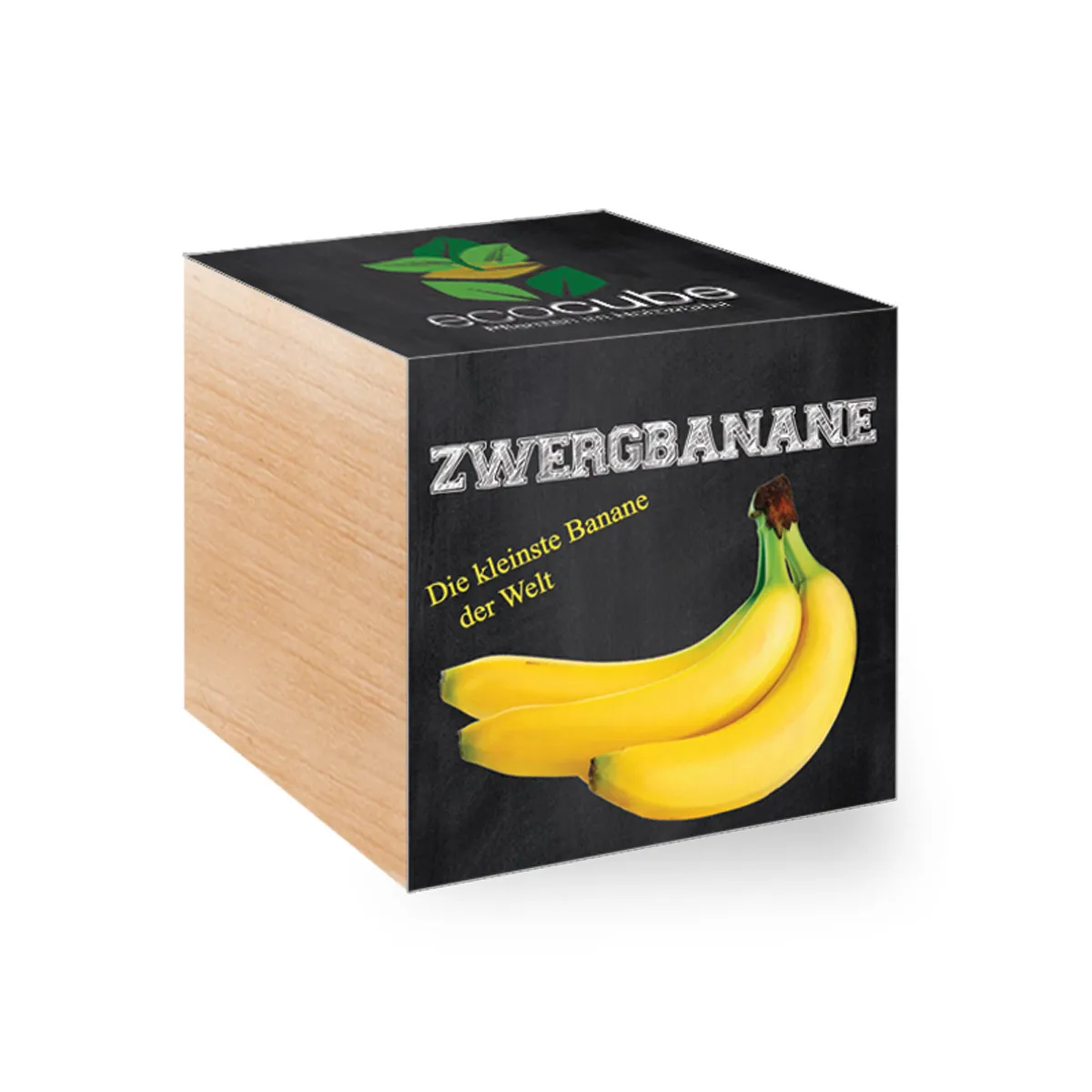 Cube à planter - Banane naine