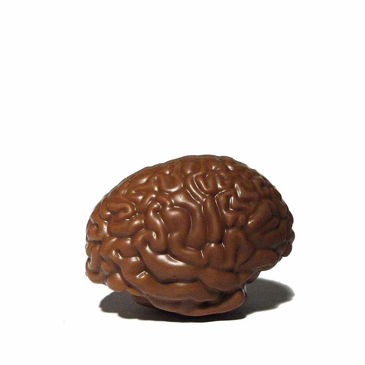 Cerveau d'urgence chocolat