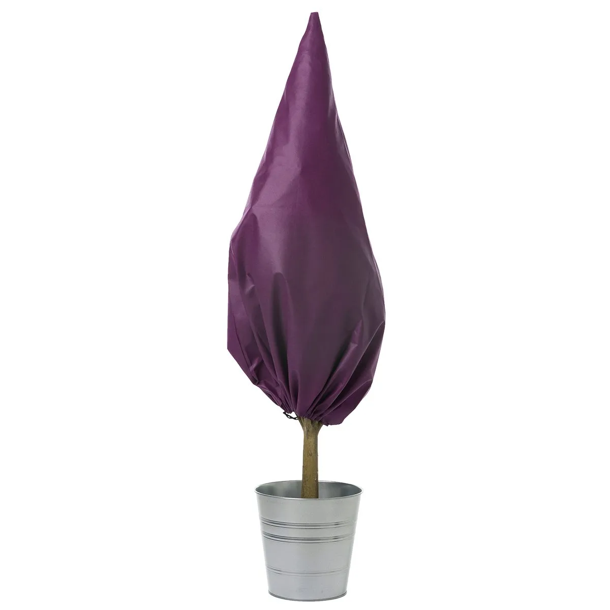 Protection hivernale pour plantes - violet