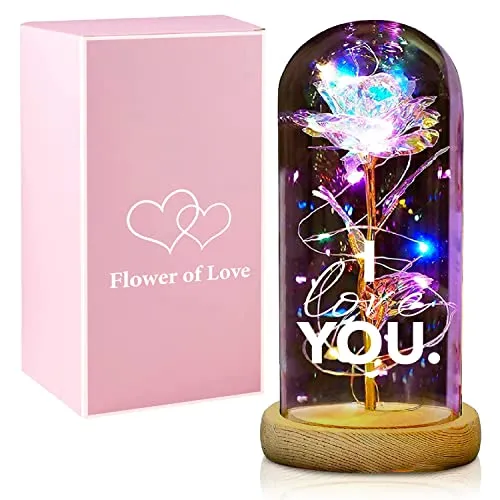 Rose transparente Dôme en verre Saint-Valentin I love you