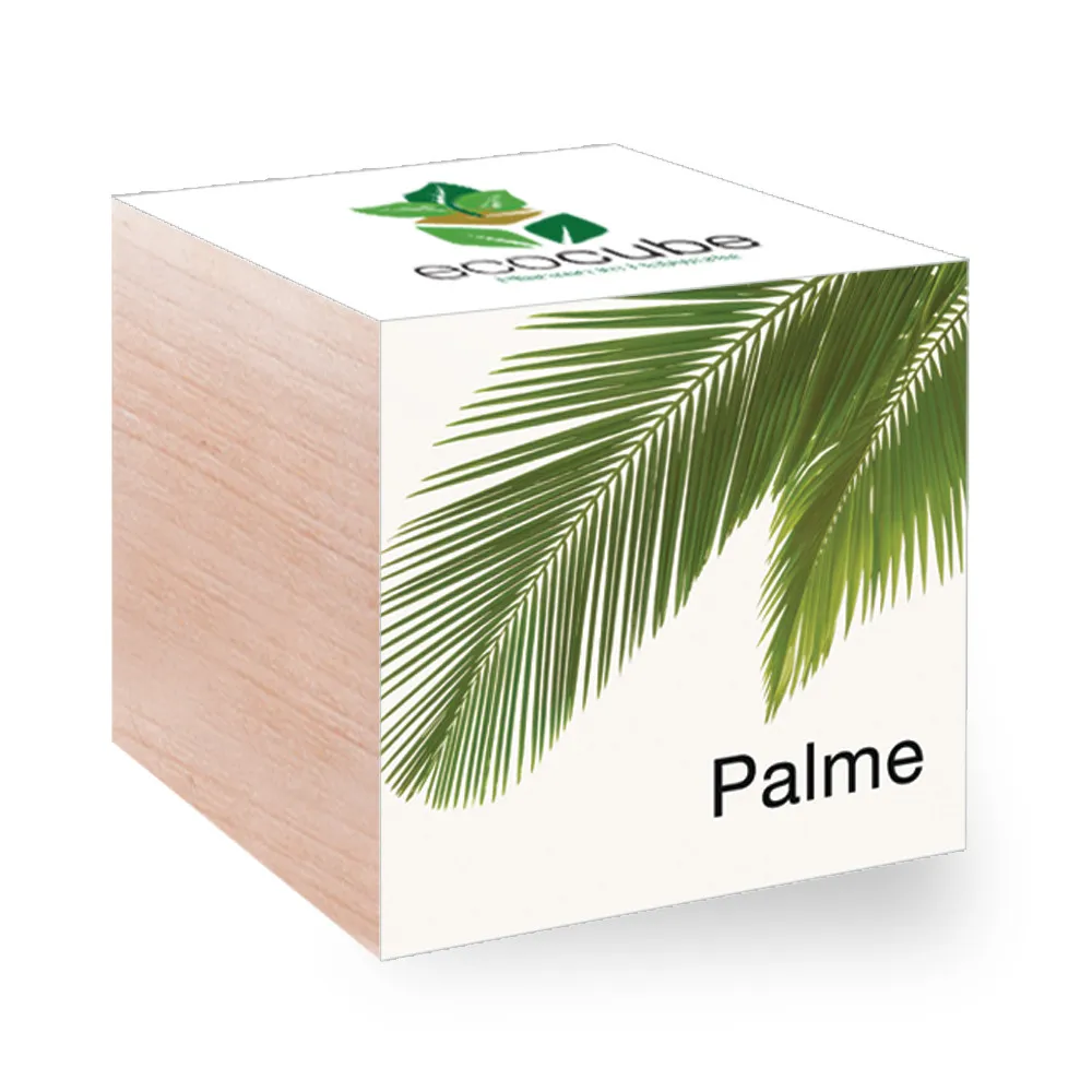 EcoCube - Plantes en cubes de bois - Palmier