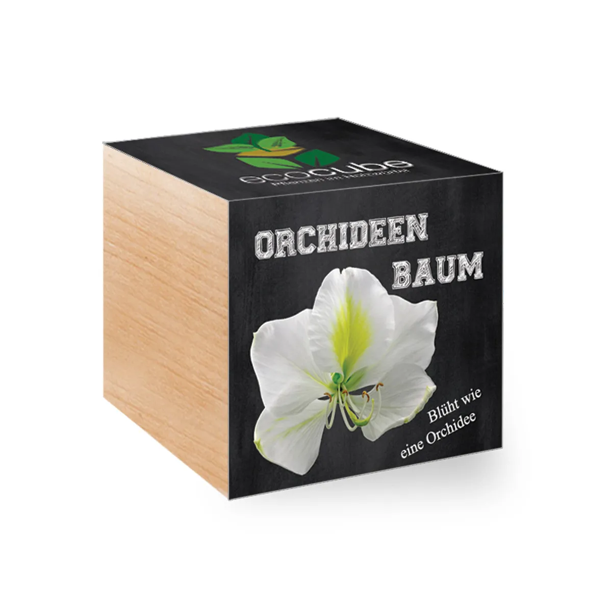 EcoCube Arbre à orchidées