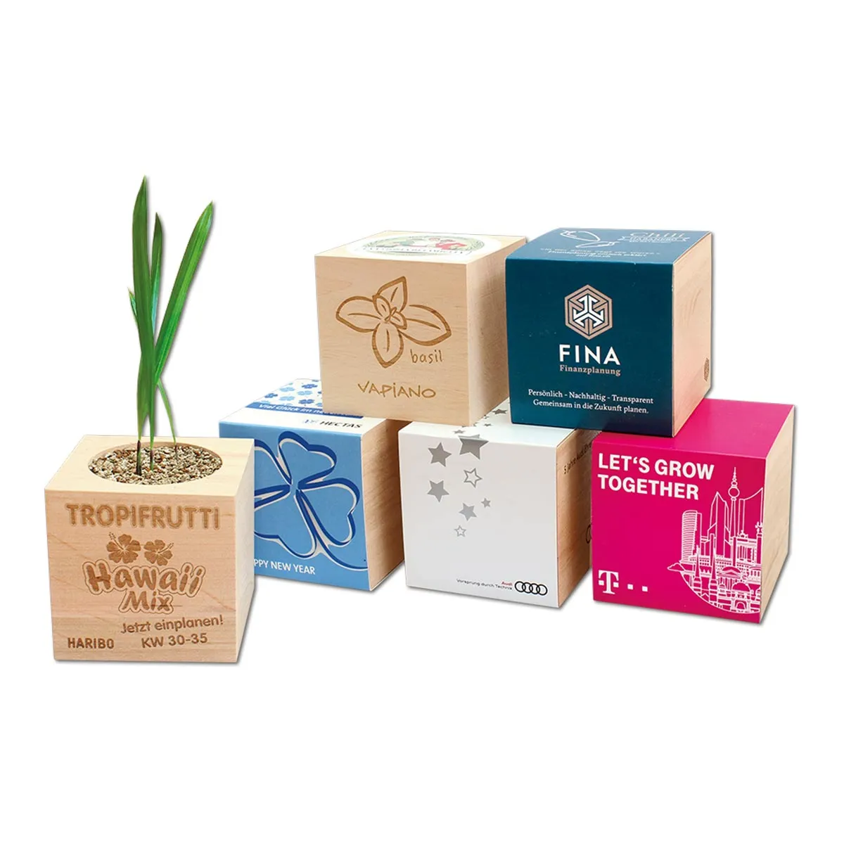 EcoCube - Plantes dans des cubes en bois avec logo de l'entreprise Personnalisé