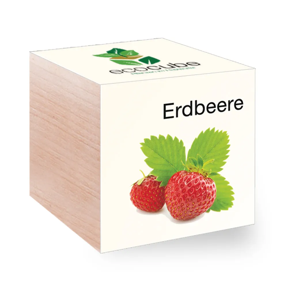 EcoCube - Plantes en cubes de bois - Fraise